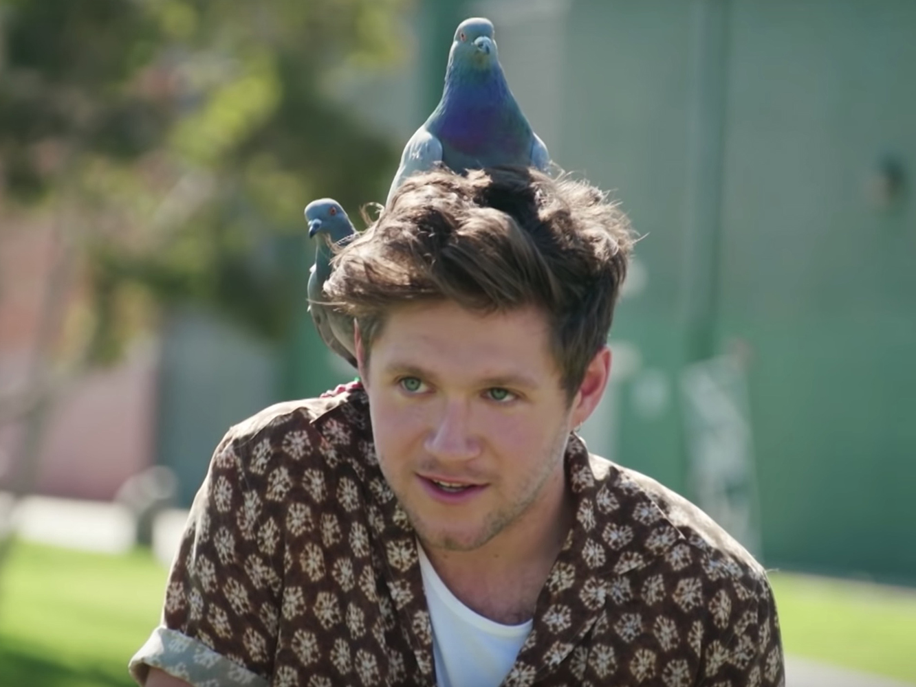  Niall Horan estrena el vídeo de ‘Heartbreak Weather’ y se marca un divertidísimo ‘Carpool Karaoke’