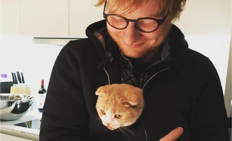 Según The Sun, Ed Sheeran y su mujer están a punto de tener su primer hijo