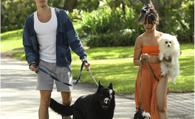  Los actores de microteatro Shawn Mendes y Camila Cabello estrenan su última comedia paseando a los perros