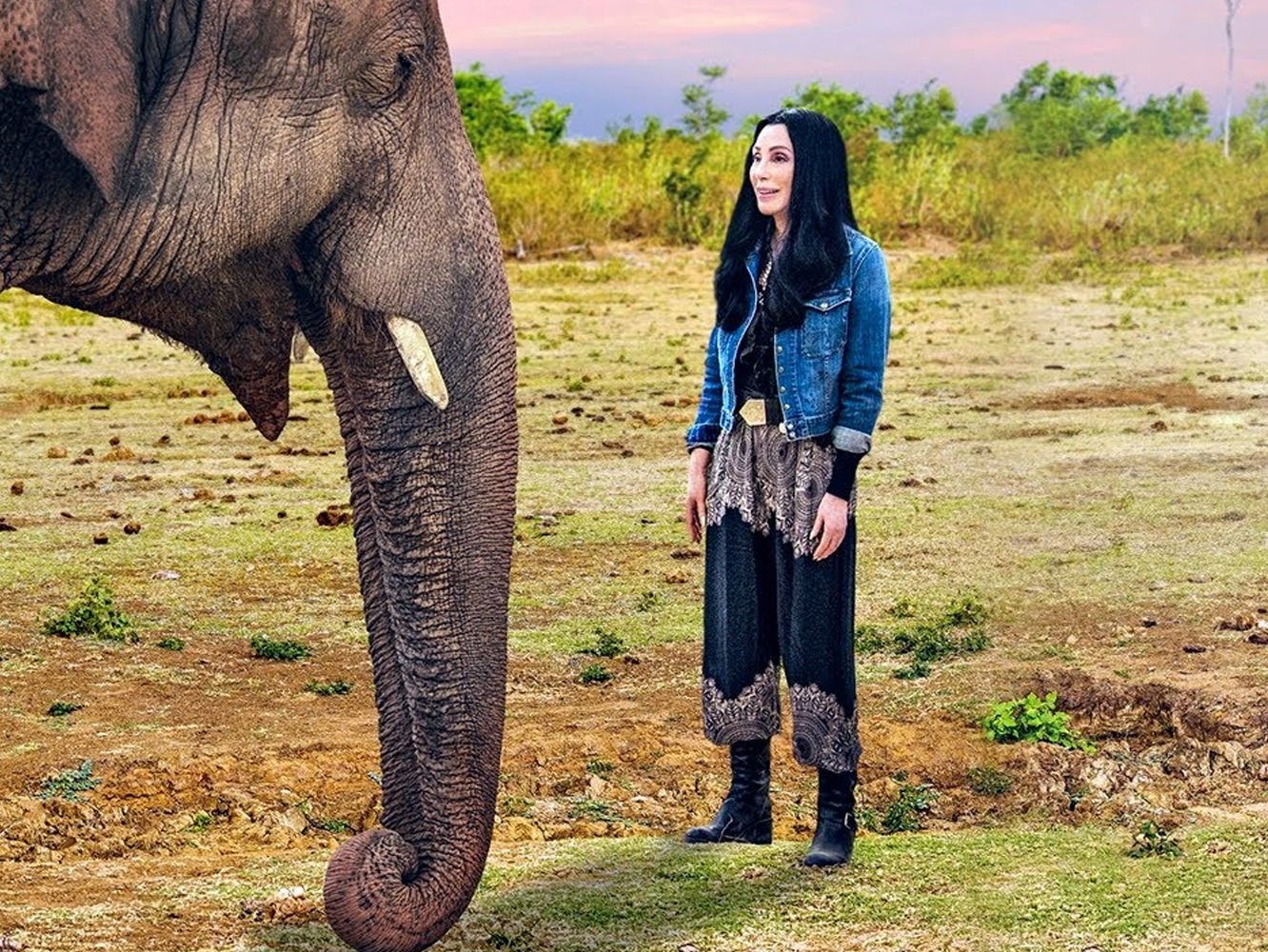  Cher lanza ‘Walls’, el single que acompaña a su documental sobre un elefante