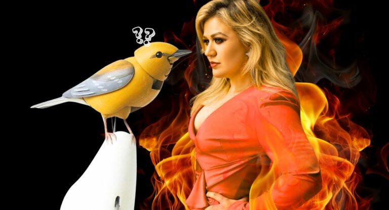 Ya hay vídeo: Cronología del pollo que Kelly Clarkson montó por un pollo