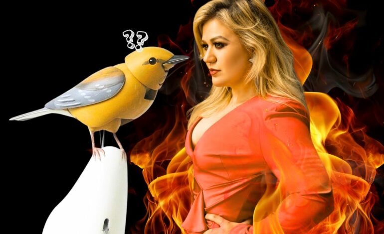 Ya hay vídeo: Cronología del pollo que Kelly Clarkson montó por un pollo