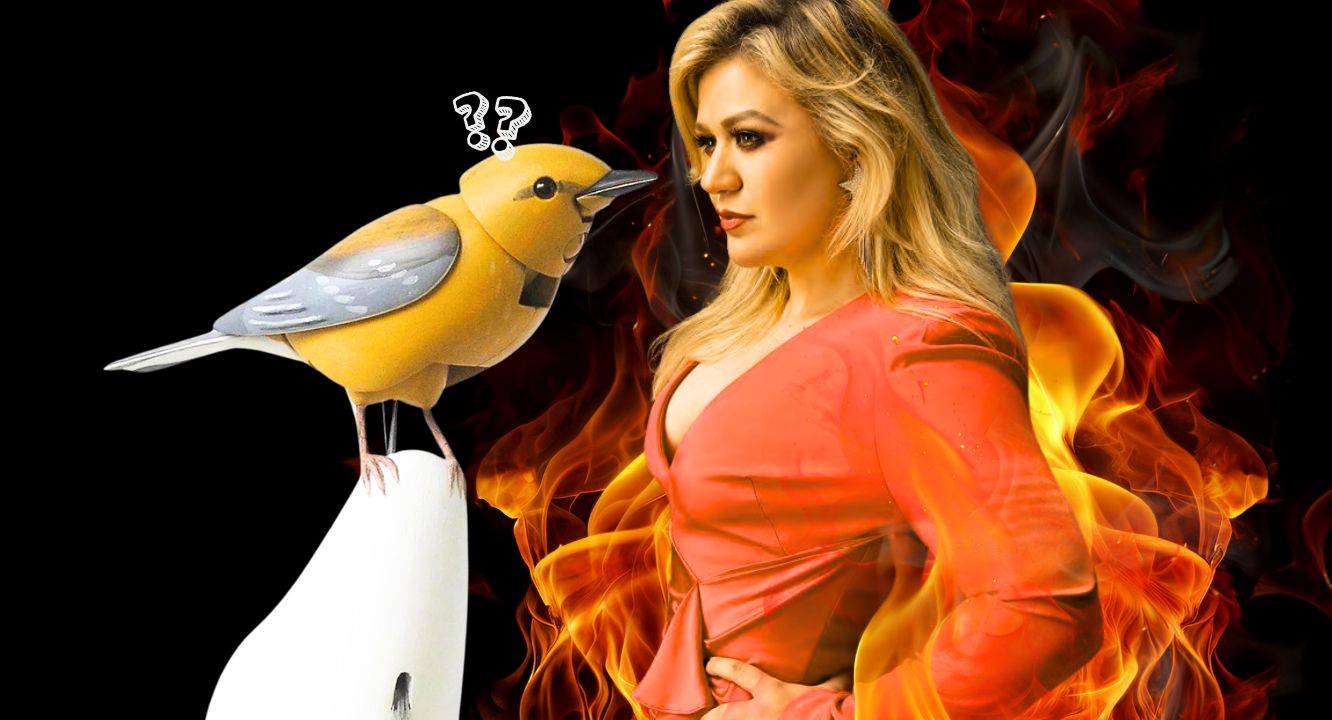 Ya hay vídeo: Cronología del pollo que Kelly Clarkson montó por un pollo